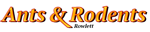 Rowlett Ant Exterminator & Rodent Control Company Logo